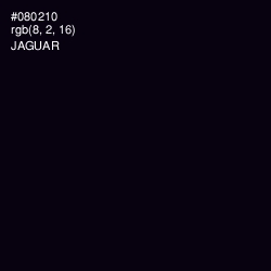 #080210 - Jaguar Color Image