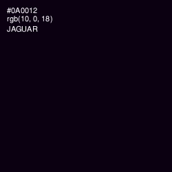 #0A0012 - Jaguar Color Image
