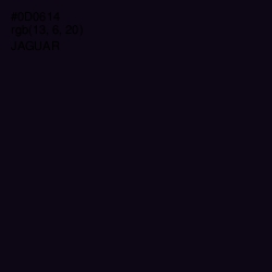 #0D0614 - Jaguar Color Image