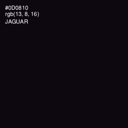 #0D0810 - Jaguar Color Image