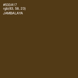 #533A17 - Jambalaya Color Image