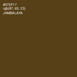 #573F17 - Jambalaya Color Image