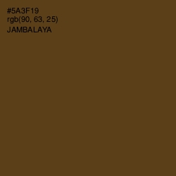 #5A3F19 - Jambalaya Color Image