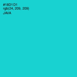 #18D1D1 - Java Color Image