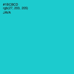 #1BCBCD - Java Color Image