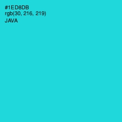 #1ED8DB - Java Color Image
