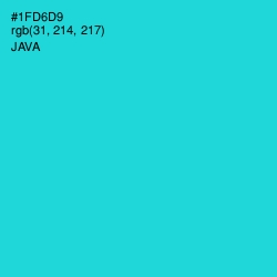 #1FD6D9 - Java Color Image