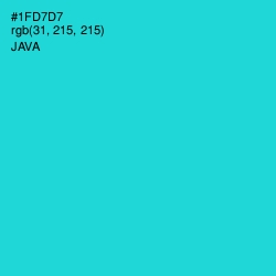 #1FD7D7 - Java Color Image