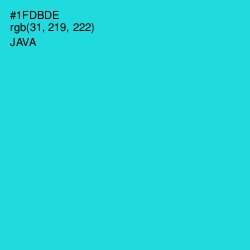 #1FDBDE - Java Color Image