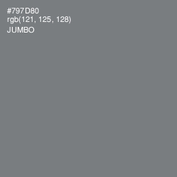 #797D80 - Jumbo Color Image