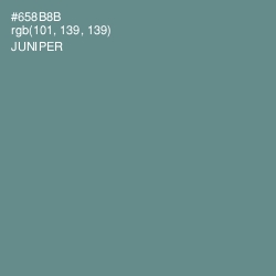#658B8B - Juniper Color Image