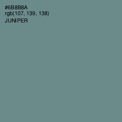 #6B8B8A - Juniper Color Image
