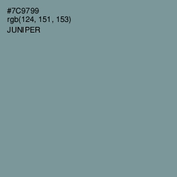 #7C9799 - Juniper Color Image