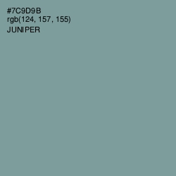 #7C9D9B - Juniper Color Image