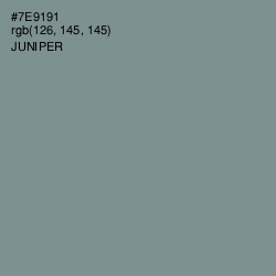#7E9191 - Juniper Color Image