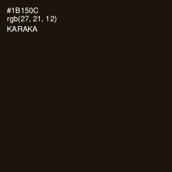 #1B150C - Karaka Color Image