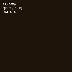 #1E1409 - Karaka Color Image