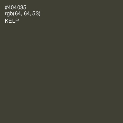 #404035 - Kelp Color Image