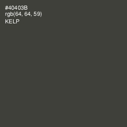 #40403B - Kelp Color Image