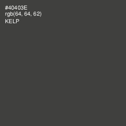 #40403E - Kelp Color Image