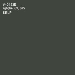 #40453E - Kelp Color Image