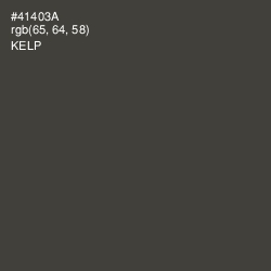 #41403A - Kelp Color Image
