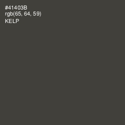 #41403B - Kelp Color Image