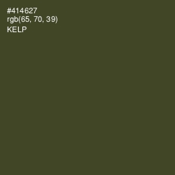 #414627 - Kelp Color Image