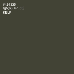 #424335 - Kelp Color Image