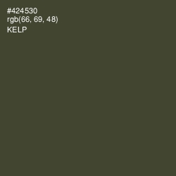 #424530 - Kelp Color Image