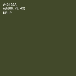#42492A - Kelp Color Image