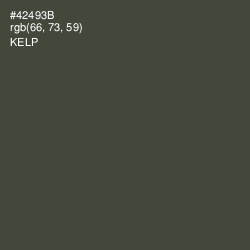 #42493B - Kelp Color Image