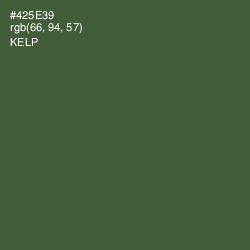 #425E39 - Kelp Color Image