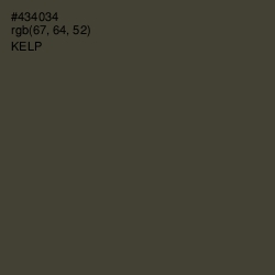 #434034 - Kelp Color Image