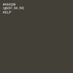 #434038 - Kelp Color Image