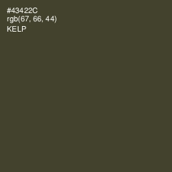 #43422C - Kelp Color Image