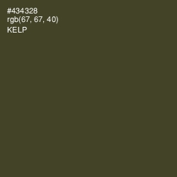 #434328 - Kelp Color Image