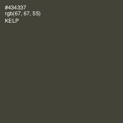#434337 - Kelp Color Image