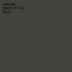 #43433E - Kelp Color Image