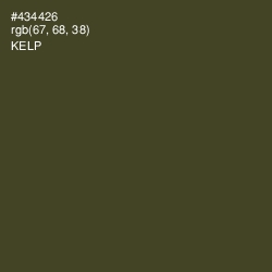 #434426 - Kelp Color Image