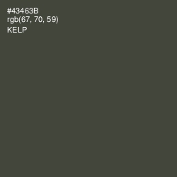 #43463B - Kelp Color Image