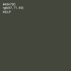#43473C - Kelp Color Image