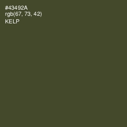 #43492A - Kelp Color Image