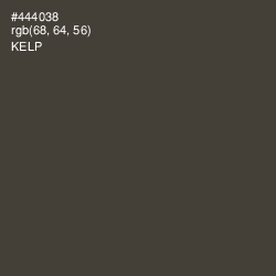 #444038 - Kelp Color Image
