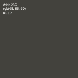 #44423C - Kelp Color Image