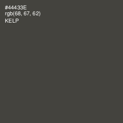 #44433E - Kelp Color Image