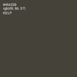 #454239 - Kelp Color Image
