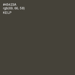 #45423A - Kelp Color Image