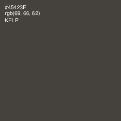#45423E - Kelp Color Image