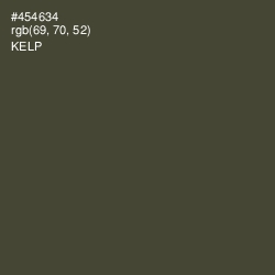 #454634 - Kelp Color Image
